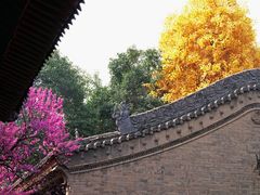 -西安市广仁寺