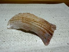 -镹·鱼料理  国产鱼使用店