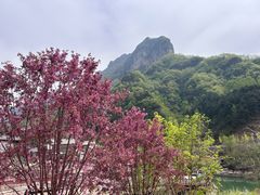 -太行锡崖沟旅游度假区