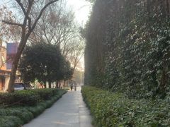 -中国湿地博物馆