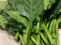 -友乐居羊蝎子(西直门店)