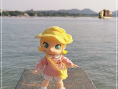 -西湖游船