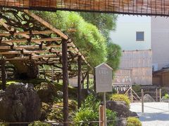 -中村藤吉(本店)