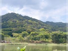 -风云岭森林公园