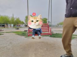 -上美四季动物农场
