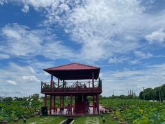 -嘉北郊野公园