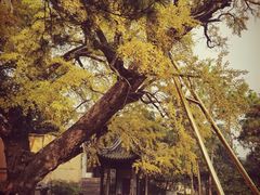 -无锡惠山寺
