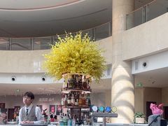 -Plush大堂酒廊(北京金融街威斯汀大酒店)