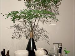 -柿合缘新京菜(国金中心商场店)