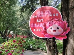 -北京市劳动人民文化宫(太庙)