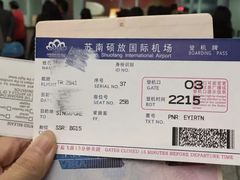 -新加坡航空公司(ION)