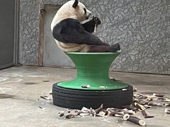 -西安秦岭野生动物园