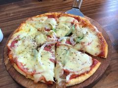 -百好乐宠物友好餐厅(朝外大街店)