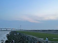-南汇新城海滩