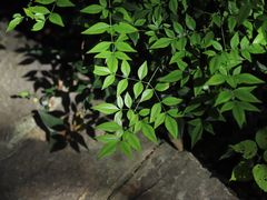 -南京市江宁方山