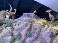 -陕西自然博物馆