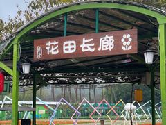 -盈香心动乐园