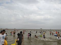 -奉贤海滩