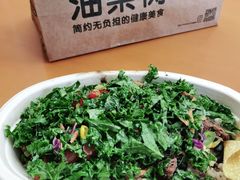 -油梨树 AVOCADO TREE(亮马桥店)