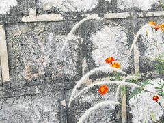 -长虫山生态公园风景林