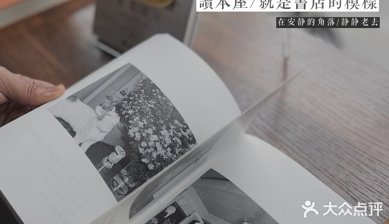 📚无需华丽装饰，精挑细选只为爱书的你 | 宝藏书店——讀本屋