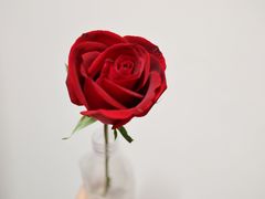 -那些花儿鲜花店(小寨店)