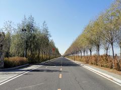 -呼兰河口湿地公园