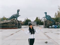 -嘉荫恐龙国家地质公园