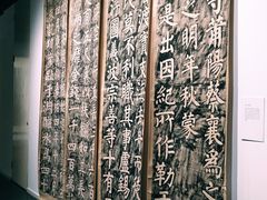 -天津美术学院-校史馆