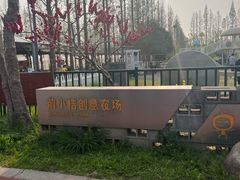 -上海长兴岛郊野公园