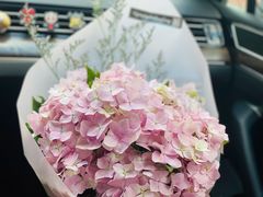 -大自然花鸟鱼虫市场