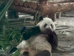 -泉州海丝野生动物世界