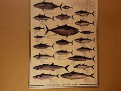 -镹·鱼料理  国产鱼使用店