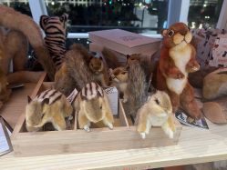 -IMON·HANSA潮玩玩偶毛绒玩具(通州万象汇店)