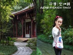 -望江楼公园