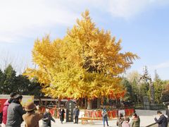 -终南山古楼观历史文化景区