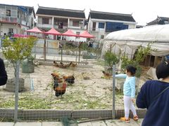 -小鱼草莓采摘园农家乐·小鱼餐厅