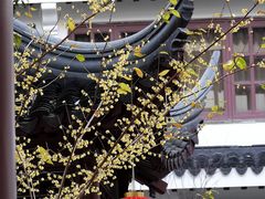-苏州吴宫泛太平洋酒店