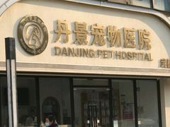 -丹景宠物医院·全科·老年病·牙科(武昌诊疗中心)