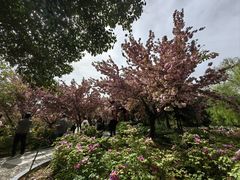 -洛阳市隋唐城遗址植物园