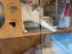 -顺德·古草食记(长寿店)