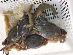 -海岸风情蒸汽海鲜自助餐厅(家宴金手勺店)
