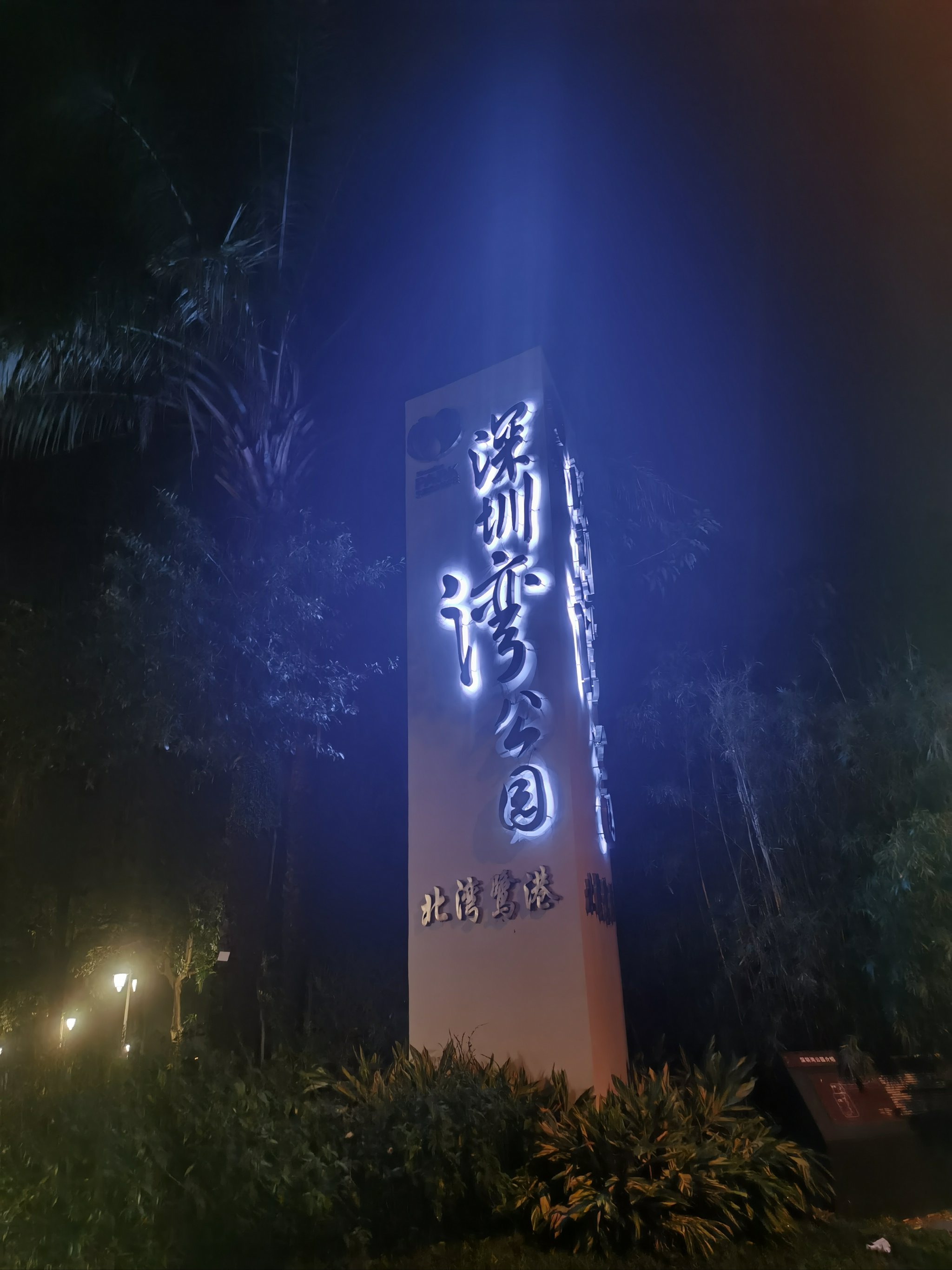 夜探深圳湾