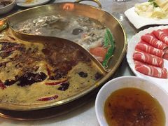 -杨家火锅(国美店)