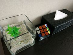 -桔子酒店(上海西藏北路地铁站店)