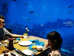 -海棠湾洲际-涛·海底餐厅·美人鱼·自助餐·海底隧道