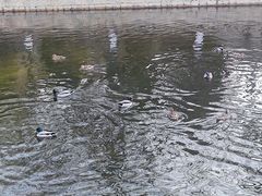 -元大都城垣遗址公园