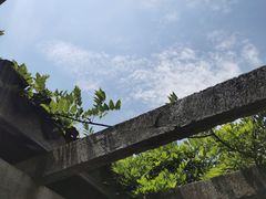 -游龙石文化科普馆