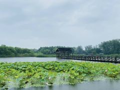 -溱湖国家湿地公园