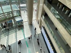 -中国医科大学附属盛京医院(南湖院区)